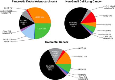 Prognostic and therapeutic impact of the KRAS G12C mutation in colorectal cancer